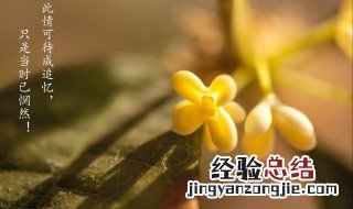 只是当时已惘然已的意思 只是当时已惘然原文