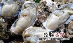 男人吃生蚝的好处 生蚝的好处