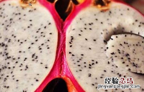 吃火龙果有什么好处 吃火龙果有什么好处和功效