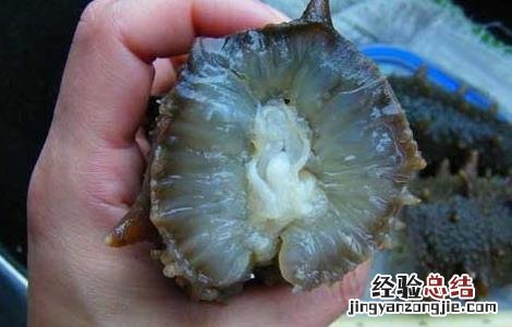 吃海参有什么好处 海参有什么功效和作用