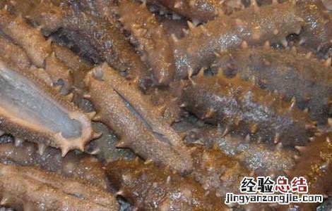 吃海参有什么好处 海参有什么功效和作用