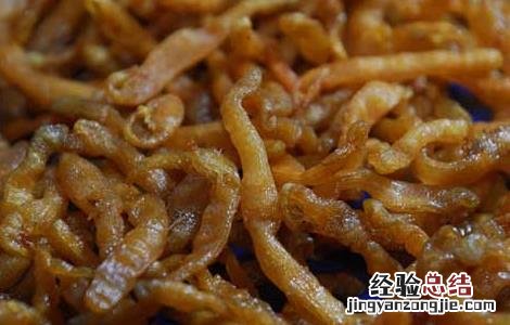 沙虫的功效与作用 沙虫干的功效与作用