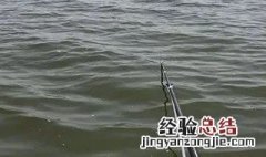 蚯蚓钓鱼方法水底测试 如何用蚯蚓探寻水底情况