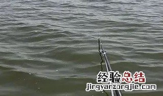 蚯蚓钓鱼方法水底测试 如何用蚯蚓探寻水底情况
