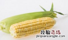 粘玉米怎么煮烂糊 粘玉米怎么煮
