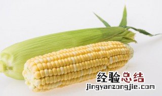 粘玉米怎么煮烂糊 粘玉米怎么煮