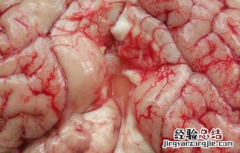 猪脑的营养价值 猪脑的营养价值和禁忌