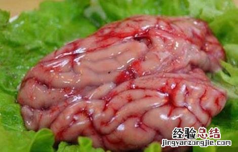 猪脑的营养价值 猪脑的营养价值和禁忌