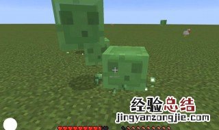 我的世界粘液球怎么获得 我的世界粘液球是什么
