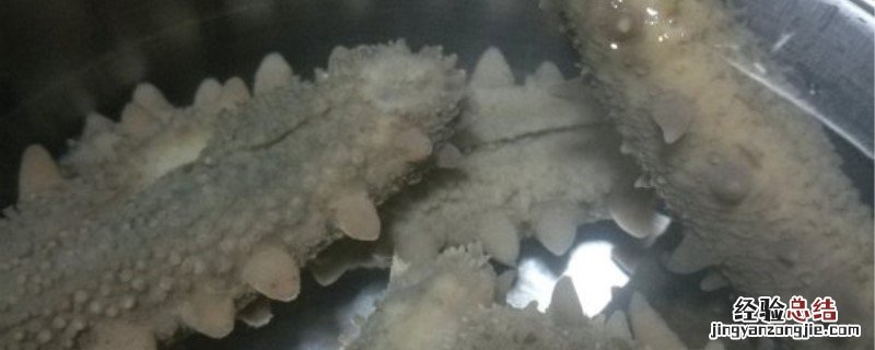 海参7-9头是什么意思 海参九个头八个头是什么意思