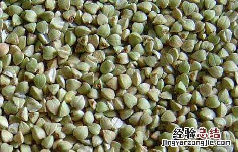 荞麦的营养价值 荞麦的营养价值及功效与作用