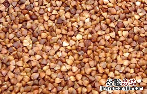 荞麦的营养价值 荞麦的营养价值及功效与作用