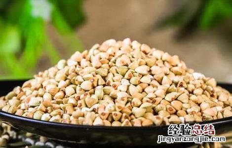 荞麦的营养价值 荞麦的营养价值及功效与作用
