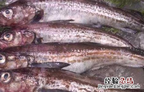 深海鳕鱼的营养价值 鳕鱼的营养价值