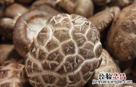 蘑菇的功效与作用禁忌 蘑菇的功效与作用