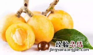 枇杷几月成熟上市 枇杷几月成熟