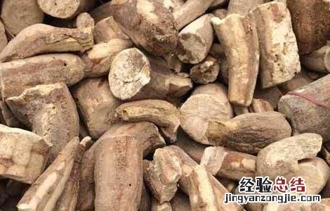 木薯粉的功效与作用 木薯的功效与作用