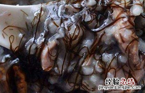 发菜的营养价值及功效的图片 发菜的营养价值
