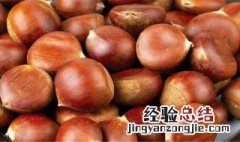 栗子怎么煮熟 煮熟栗子的方法