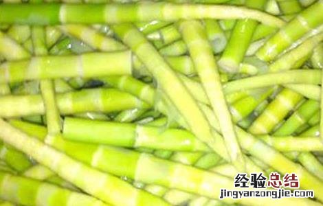 苦竹笋的功效与作用 苦竹笋的功效与作用及禁忌