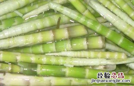 苦竹笋的功效与作用 苦竹笋的功效与作用及禁忌