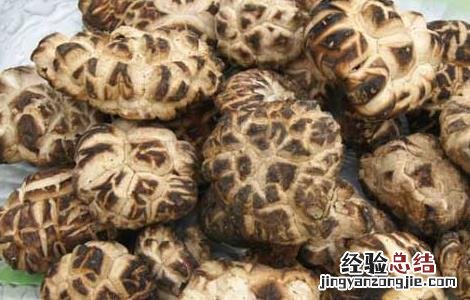 花菇的功效与作用禁忌 花菇的功效与作用