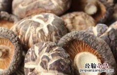 花菇的功效与作用禁忌 花菇的功效与作用