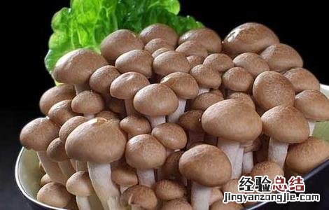 蟹味菇的营养价值 蟹味菇的营养价值表