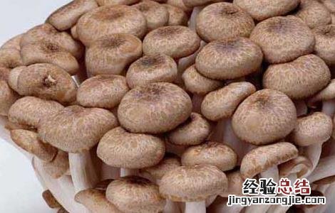 蟹味菇的营养价值 蟹味菇的营养价值表