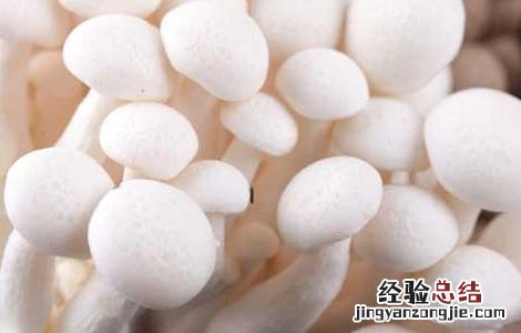 蟹味菇的营养价值 蟹味菇的营养价值表