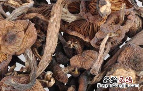 松蘑的营养价值 松蘑的营养价值与功效以及适应人群