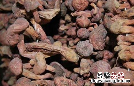 松蘑的营养价值 松蘑的营养价值与功效以及适应人群