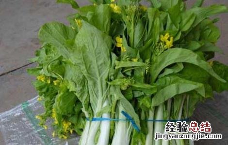 白菜苔的营养价值高吗 白菜苔的营养价值