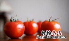 普罗旺斯番茄是转基因的吗 普罗旺斯番茄是转基因的吗
