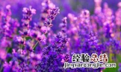 值得收藏有道理的句子 值得收藏有道理的句子精选