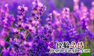 值得收藏有道理的句子 值得收藏有道理的句子精选