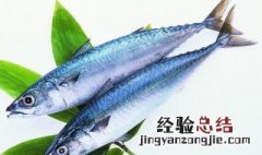 茄汁鲅鱼做法窍门 茄汁鲅鱼做法