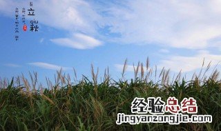 秋风萧瑟是什么意思 秋风是什么意思