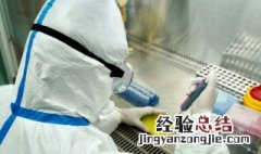 核酸检测怎么查结果 核酸检测查结果的方法