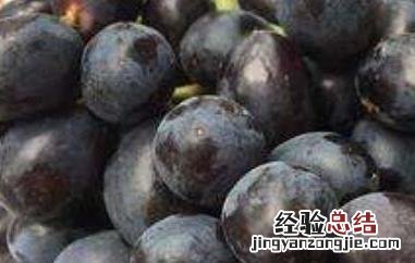黑提不能和什么同吃 黑提的禁忌有哪些