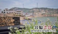 学生情侣适合去哪里旅游好 学生情侣适合去哪里旅游