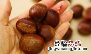 生栗子怎么好剥 怎么剥生栗子