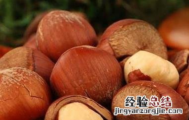 生榛子的功效与作用 生榛子的功效与作用及食用方法