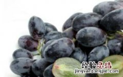 女人吃黑加仑的好处是什么 女人吃黑加仑的好处