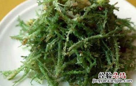 鹿角菜的功效与作用及禁忌 鹿角菜的功效与作用