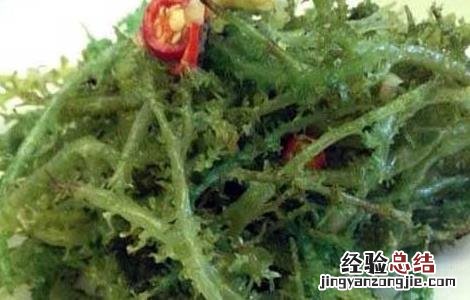 鹿角菜的功效与作用及禁忌 鹿角菜的功效与作用