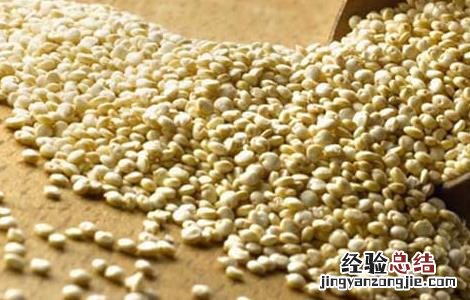 藜麦的营养价值 藜麦的营养价值和功效