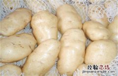 土豆常见的种类与图片介绍 土豆种类名称大全图片