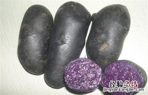土豆常见的种类与图片介绍 土豆种类名称大全图片