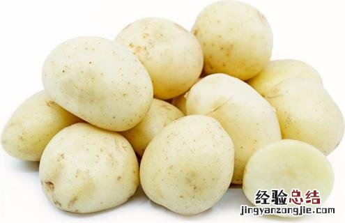土豆常见的种类与图片介绍 土豆种类名称大全图片